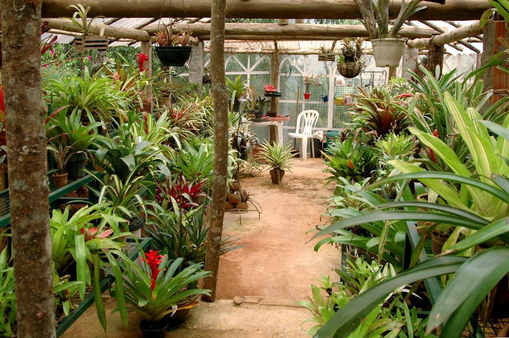 假日公園 Casa Da Colina Visconde De Maua