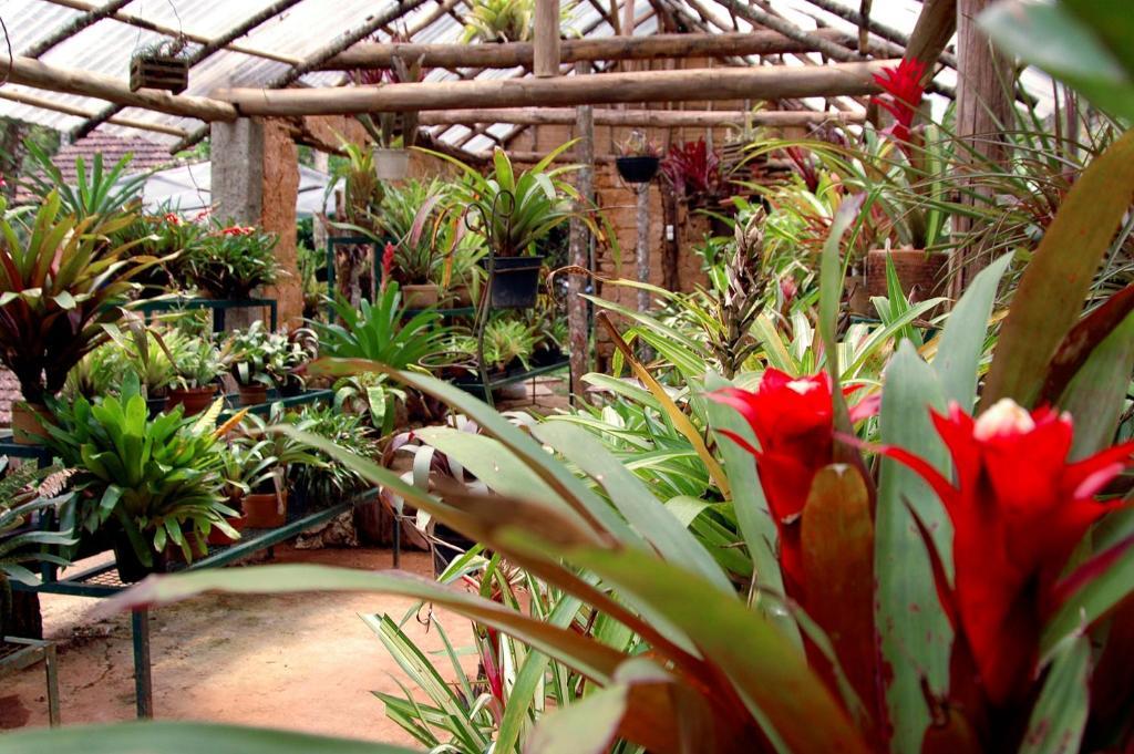 Casa Da Colina